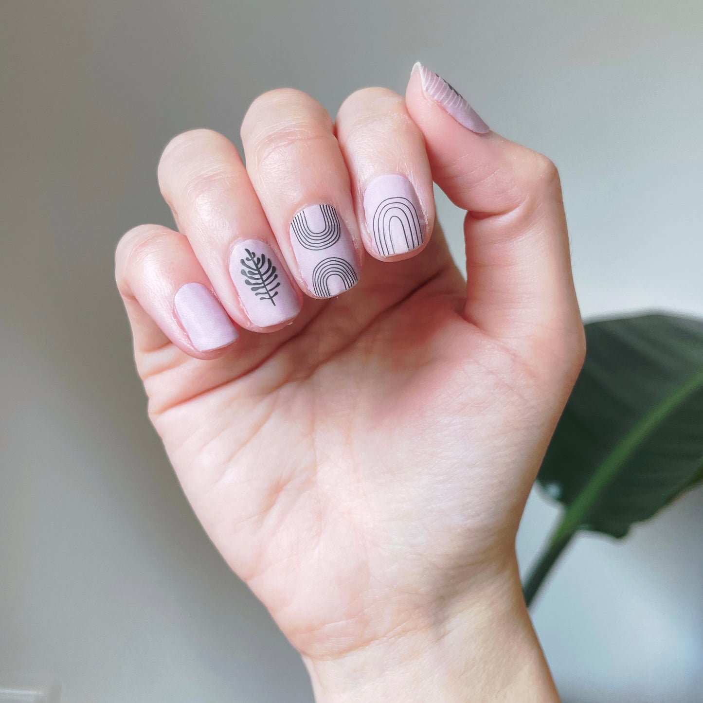 Abstract Botanical Drawings